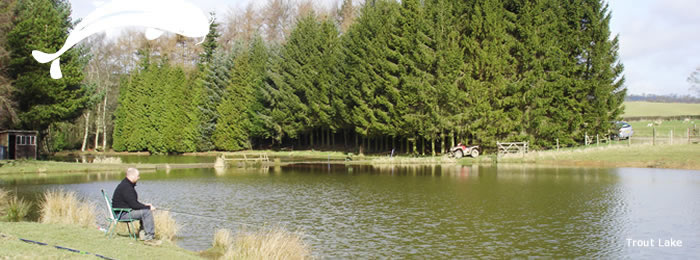 Alton Manor Fishery Trout Lake